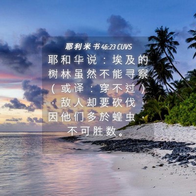 Picture 04 - 耶 利 米 书 46:23 CUVS - 耶 和 华 说 ： 埃 及 的 树 林 虽 然 - Bible Verse Picture