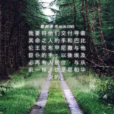 Picture 04 - 耶 利 米 书 46:26 CUVS - 我 要 将 他 们 交 付 寻 索 其 命 之 - Bible Verse Picture