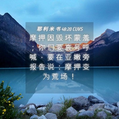 Picture 04 - 耶 利 米 书 48:20 CUVS - 摩 押 因 毁 坏 蒙 羞 ； 你 们 要 哀 - Bible Verse Picture