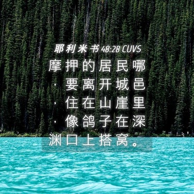 Picture 04 - 耶 利 米 书 48:28 CUVS - 摩 押 的 居 民 哪 ， 要 离 开 城 邑 - Bible Verse Picture