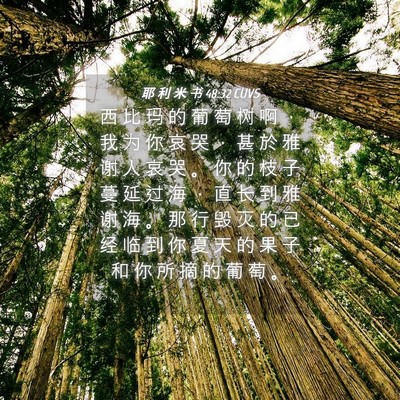 Picture 04 - 耶 利 米 书 48:32 CUVS - 西 比 玛 的 葡 萄 树 啊 ， 我 为 你 - Bible Verse Picture