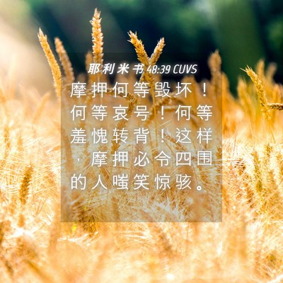 Picture 04 - 耶 利 米 书 48:39 CUVS - 摩 押 何 等 毁 坏 ！ 何 等 哀 号 ！ - Bible Verse Picture