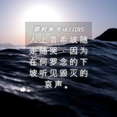 Picture 04 - 耶 利 米 书 48:5 CUVS - 人 上 鲁 希 坡 随 走 随 哭 ， 因 为 - Bible Verse Picture