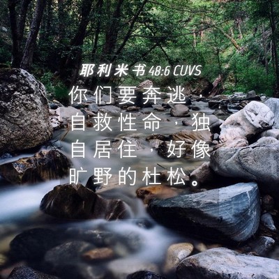 Picture 04 - 耶 利 米 书 48:6 CUVS - 你 们 要 奔 逃 ， 自 救 性 命 ， 独 - Bible Verse Picture