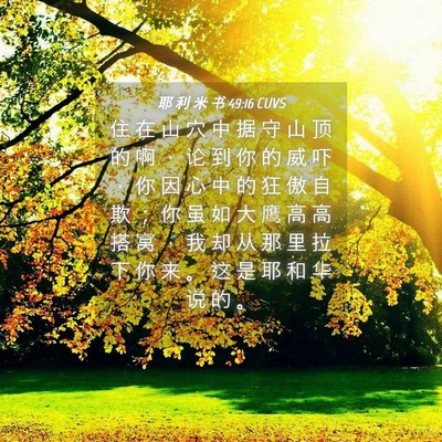 Picture 04 - 耶 利 米 书 49:16 CUVS - 住 在 山 穴 中 据 守 山 顶 的 啊 ， - Bible Verse Picture