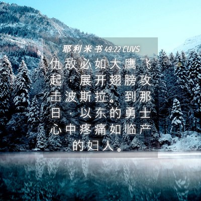 Picture 04 - 耶 利 米 书 49:22 CUVS - 仇 敌 必 如 大 鹰 飞 起 ， 展 开 翅 - Bible Verse Picture