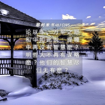 Picture 04 - 耶 利 米 书 49:7 CUVS - 论 以 东 。 万 军 之 耶 和 华 如 此 - Bible Verse Picture