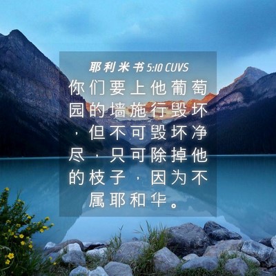 Picture 04 - 耶 利 米 书 5:10 CUVS - 你 们 要 上 他 葡 萄 园 的 墙 施 行 - Bible Verse Picture