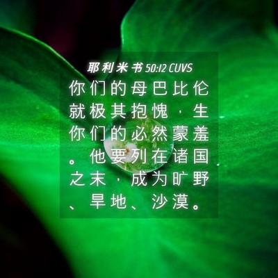 Picture 04 - 耶 利 米 书 50:12 CUVS - 你 们 的 母 巴 比 伦 就 极 其 抱 愧 - Bible Verse Picture
