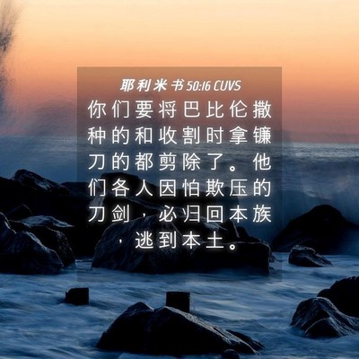 Picture 04 - 耶 利 米 书 50:16 CUVS - 你 们 要 将 巴 比 伦 撒 种 的 和 收 - Bible Verse Picture