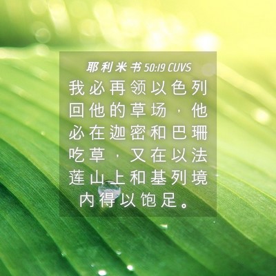 Picture 04 - 耶 利 米 书 50:19 CUVS - 我 必 再 领 以 色 列 回 他 的 草 场 - Bible Verse Picture