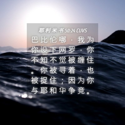 Picture 04 - 耶 利 米 书 50:24 CUVS - 巴 比 伦 哪 ， 我 为 你 设 下 网 罗 - Bible Verse Picture