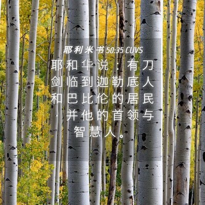 Picture 04 - 耶 利 米 书 50:35 CUVS - 耶 和 华 说 ： 有 刀 剑 临 到 迦 勒 - Bible Verse Picture