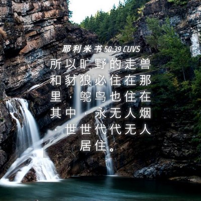 Picture 04 - 耶 利 米 书 50:39 CUVS - 所 以 旷 野 的 走 兽 和 豺 狼 必 住 - Bible Verse Picture