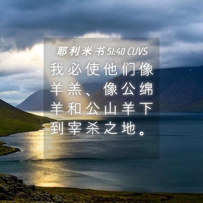 Picture 04 - 耶 利 米 书 51:40 CUVS - 我 必 使 他 们 像 羊 羔 、 像 公 绵 - Bible Verse Picture