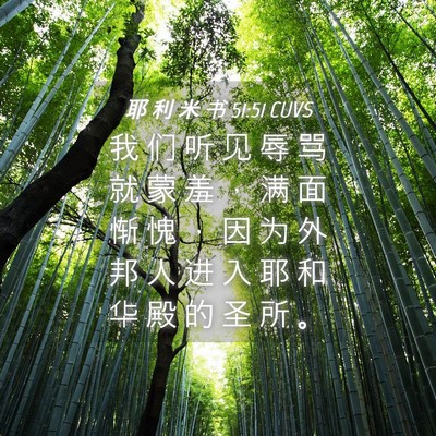 Picture 04 - 耶 利 米 书 51:51 CUVS - 我 们 听 见 辱 骂 就 蒙 羞 ， 满 面 - Bible Verse Picture