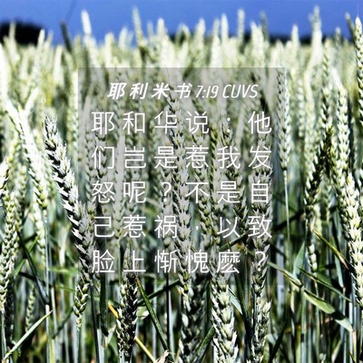 Picture 04 - 耶 利 米 书 7:19 CUVS - 耶 和 华 说 ： 他 们 岂 是 惹 我 发 - Bible Verse Picture