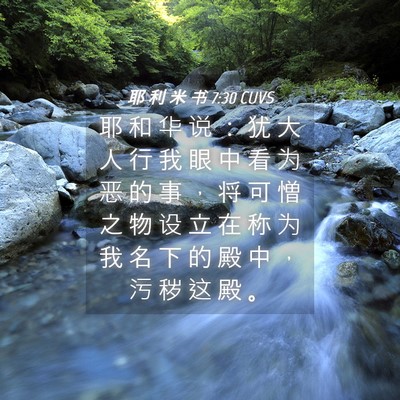 Picture 04 - 耶 利 米 书 7:30 CUVS - 耶 和 华 说 ： 犹 大 人 行 我 眼 中 - Bible Verse Picture
