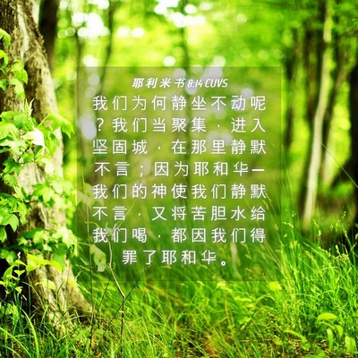 Picture 04 - 耶 利 米 书 8:14 CUVS - 我 们 为 何 静 坐 不 动 呢 ？ 我 们 - Bible Verse Picture