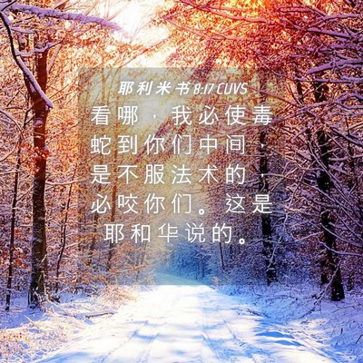 Picture 04 - 耶 利 米 书 8:17 CUVS - 看 哪 ， 我 必 使 毒 蛇 到 你 们 中 - Bible Verse Picture
