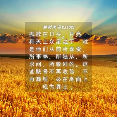 Picture 04 - 耶 利 米 书 8:2 CUVS - 抛 散 在 日 头 、 月 亮 ， 和 天 上 - Bible Verse Picture