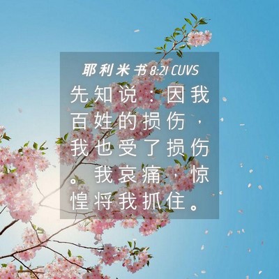 Picture 04 - 耶 利 米 书 8:21 CUVS - 先 知 说 ： 因 我 百 姓 的 损 伤 ， - Bible Verse Picture