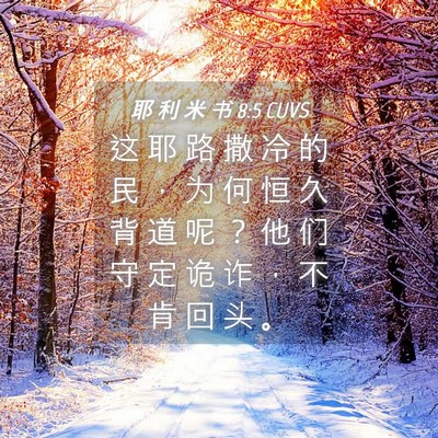 Picture 04 - 耶 利 米 书 8:5 CUVS - 这 耶 路 撒 冷 的 民 ， 为 何 恒 久 - Bible Verse Picture