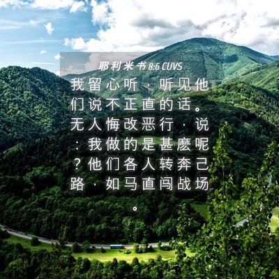 Picture 04 - 耶 利 米 书 8:6 CUVS - 我 留 心 听 ， 听 见 他 们 说 不 正 - Bible Verse Picture