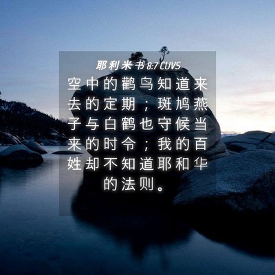 Picture 04 - 耶 利 米 书 8:7 CUVS - 空 中 的 鹳 鸟 知 道 来 去 的 定 期 - Bible Verse Picture