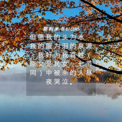 Picture 04 - 耶 利 米 书 9:1 CUVS - 但 愿 我 的 头 为 水 ， 我 的 眼 为 - Bible Verse Picture