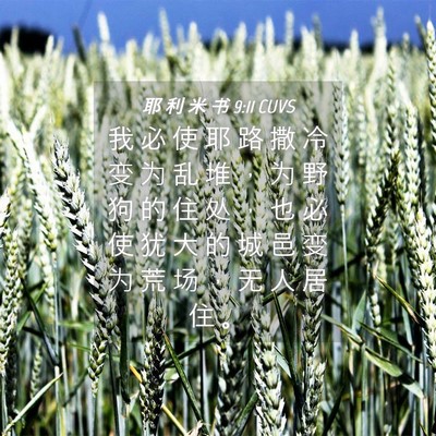 Picture 04 - 耶 利 米 书 9:11 CUVS - 我 必 使 耶 路 撒 冷 变 为 乱 堆 ， - Bible Verse Picture