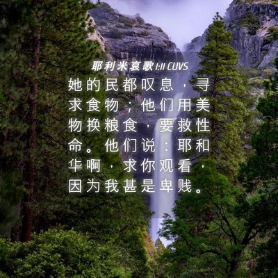 Picture 04 - 耶 利 米 哀 歌 1:11 CUVS - 她 的 民 都 叹 息 ， 寻 求 食 物 ； - Bible Verse Picture