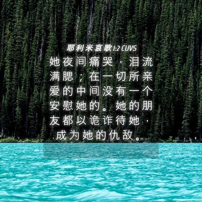 Picture 04 - 耶 利 米 哀 歌 1:2 CUVS - 她 夜 间 痛 哭 ， 泪 流 满 腮 ； 在 - Bible Verse Picture