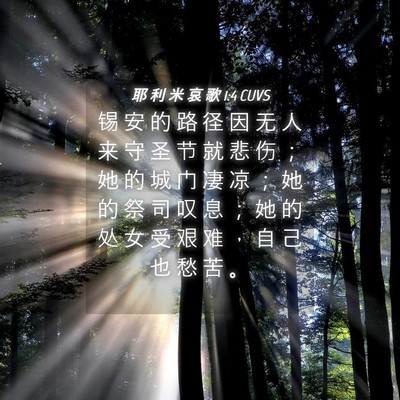 Picture 04 - 耶 利 米 哀 歌 1:4 CUVS - 锡 安 的 路 径 因 无 人 来 守 圣 节 - Bible Verse Picture