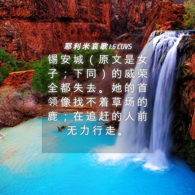 Picture 04 - 耶 利 米 哀 歌 1:6 CUVS - 锡 安 城 （ 原 文 是 女 子 ； 下 同 - Bible Verse Picture
