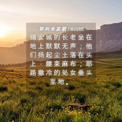 Picture 04 - 耶 利 米 哀 歌 2:10 CUVS - 锡 安 城 的 长 老 坐 在 地 上 默 默 - Bible Verse Picture