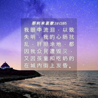 Picture 04 - 耶 利 米 哀 歌 2:11 CUVS - 我 眼 中 流 泪 ， 以 致 失 明 ， 我 - Bible Verse Picture