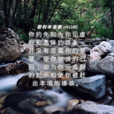 Picture 04 - 耶 利 米 哀 歌 2:14 CUVS - 你 的 先 知 为 你 见 虚 假 和 愚 昧 - Bible Verse Picture