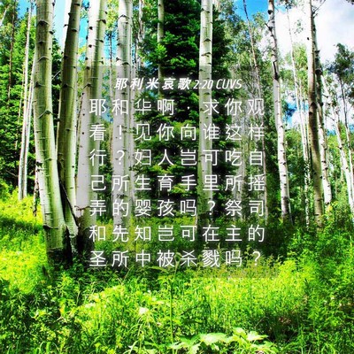 Picture 04 - 耶 利 米 哀 歌 2:20 CUVS - 耶 和 华 啊 ， 求 你 观 看 ！ 见 你 - Bible Verse Picture