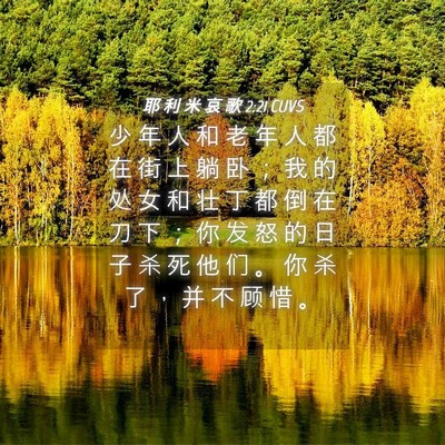 Picture 04 - 耶 利 米 哀 歌 2:21 CUVS - 少 年 人 和 老 年 人 都 在 街 上 躺 - Bible Verse Picture