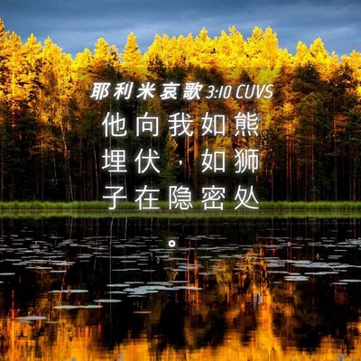 Picture 04 - 耶 利 米 哀 歌 3:10 CUVS - 他 向 我 如 熊 埋 伏 ， 如 狮 子 在 - Bible Verse Picture