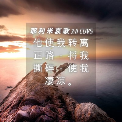 Picture 04 - 耶 利 米 哀 歌 3:11 CUVS - 他 使 我 转 离 正 路 ， 将 我 撕 碎 - Bible Verse Picture