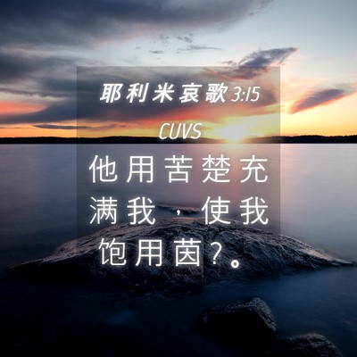 Picture 04 - 耶 利 米 哀 歌 3:15 CUVS - 他 用 苦 楚 充 满 我 ， 使 我 饱 用 - Bible Verse Picture