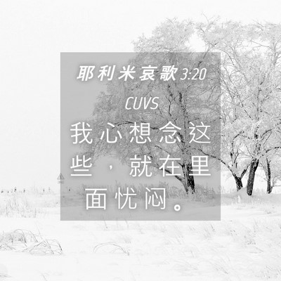 Picture 04 - 耶 利 米 哀 歌 3:20 CUVS - 我 心 想 念 这 些 ， 就 在 里 面 忧 - Bible Verse Picture