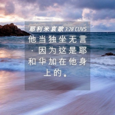 Picture 04 - 耶 利 米 哀 歌 3:28 CUVS - 他 当 独 坐 无 言 ， 因 为 这 是 耶 - Bible Verse Picture