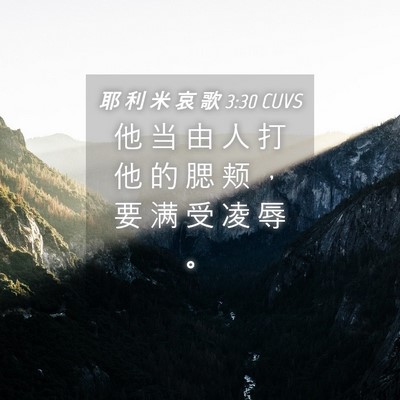 Picture 04 - 耶 利 米 哀 歌 3:30 CUVS - 他 当 由 人 打 他 的 腮 颊 ， 要 满 - Bible Verse Picture