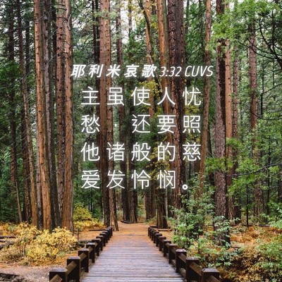 Picture 04 - 耶 利 米 哀 歌 3:32 CUVS - 主 虽 使 人 忧 愁 ， 还 要 照 他 诸 - Bible Verse Picture