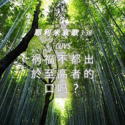Picture 04 - 耶 利 米 哀 歌 3:38 CUVS - 祸 福 不 都 出 於 至 高 者 的 口 吗 - Bible Verse Picture