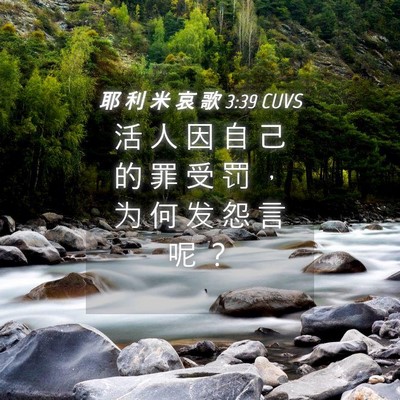 Picture 04 - 耶 利 米 哀 歌 3:39 CUVS - 活 人 因 自 己 的 罪 受 罚 ， 为 何 - Bible Verse Picture