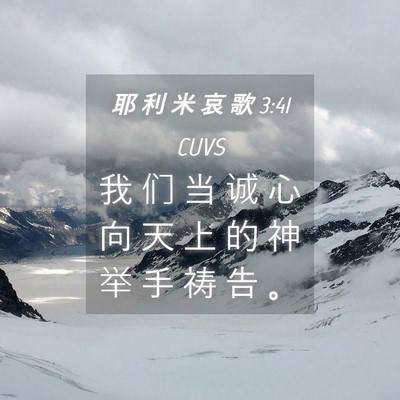 Picture 04 - 耶 利 米 哀 歌 3:41 CUVS - 我 们 当 诚 心 向 天 上 的 神 举 手 - Bible Verse Picture
